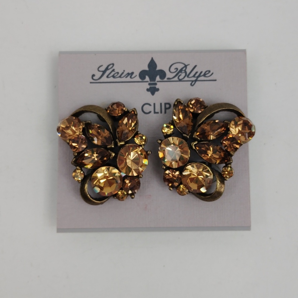 Stein Blye Rhinestone Clip On Earrings